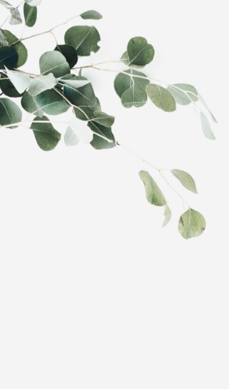 Greens - Design 1